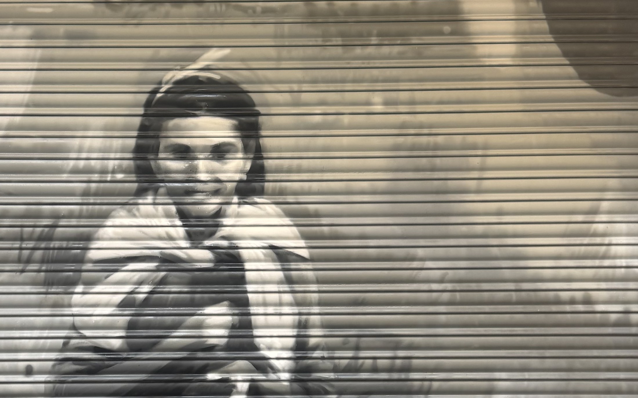 Zoom d'un mural realista en blanc i negre d'una dona, sobre una persiana, Roses
